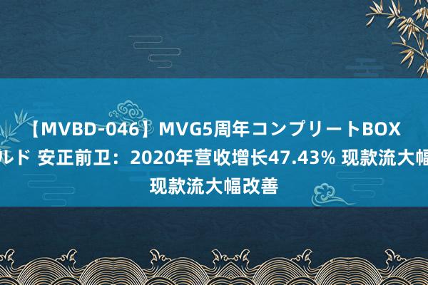 【MVBD-046】MVG5周年コンプリートBOX ゴールド 安正前卫：2020年营收增长47.43% 现款流大幅改善