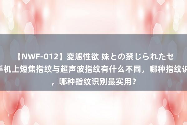 【NWF-012】変態性欲 妹との禁じられたセックス。 手机上短焦指纹与超声波指纹有什么不同，哪种指纹识别最实用？