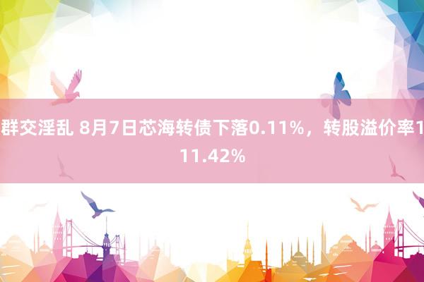 群交淫乱 8月7日芯海转债下落0.11%，转股溢价率111.42%