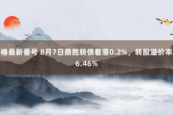 椿最新番号 8月7日鼎胜转债着落0.2%，转股溢价率6.46%