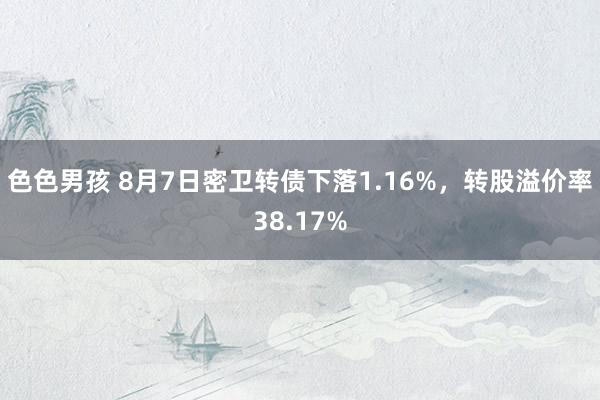 色色男孩 8月7日密卫转债下落1.16%，转股溢价率38.17%