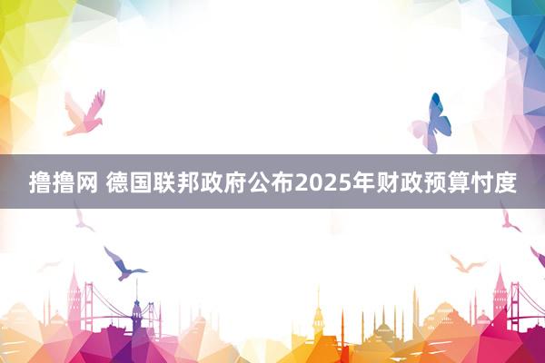 撸撸网 德国联邦政府公布2025年财政预算忖度