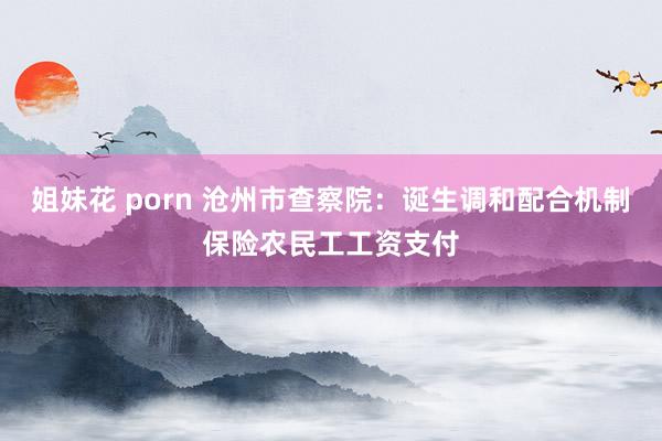 姐妹花 porn 沧州市查察院：诞生调和配合机制保险农民工工资支付