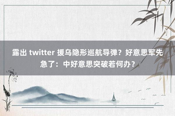 露出 twitter 援乌隐形巡航导弹？好意思军先急了：中好意思突破若何办？