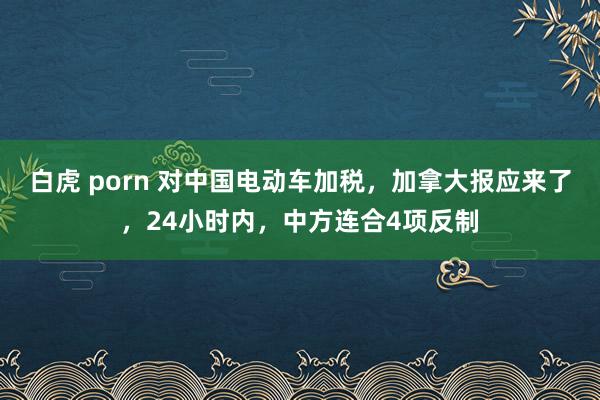 白虎 porn 对中国电动车加税，加拿大报应来了，24小时内，中方连合4项反制